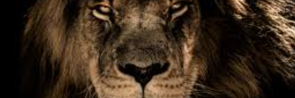 Ryan Anderson🟧 banner