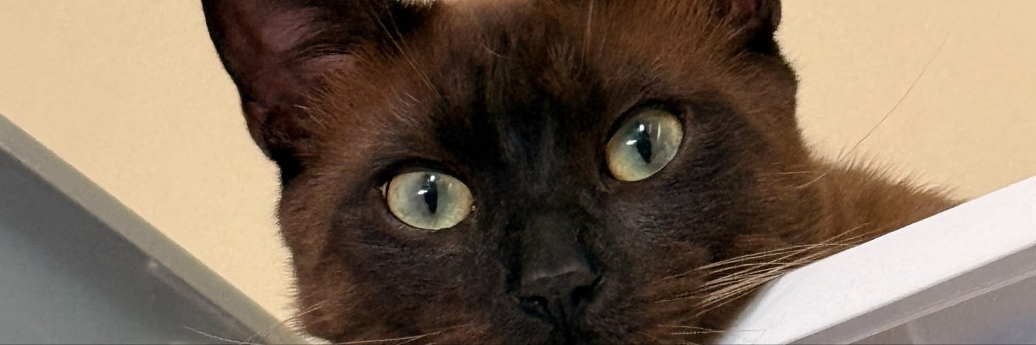 _micolets's profile banner image