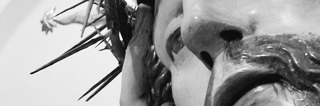 Fran Fernández banner