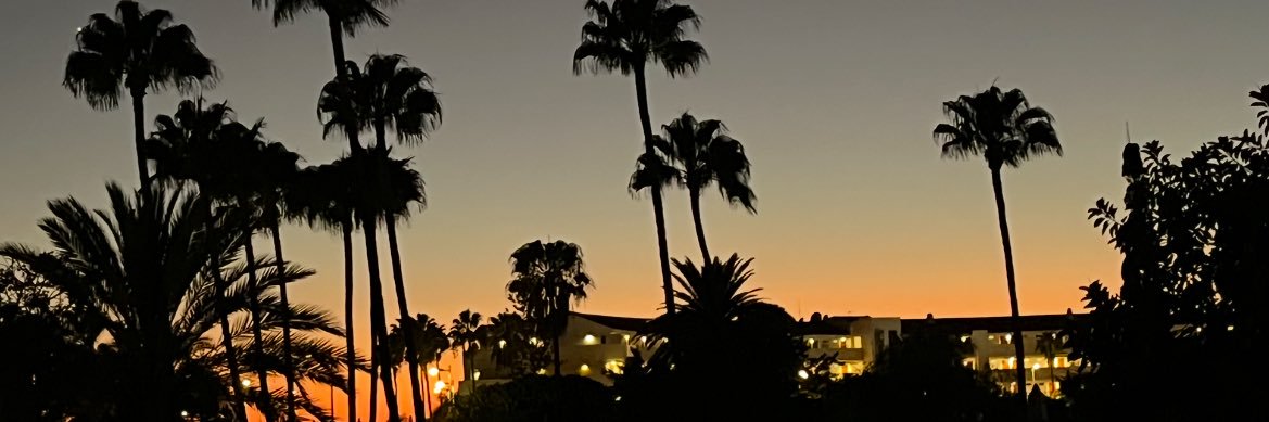 chloeeekd's profile banner image