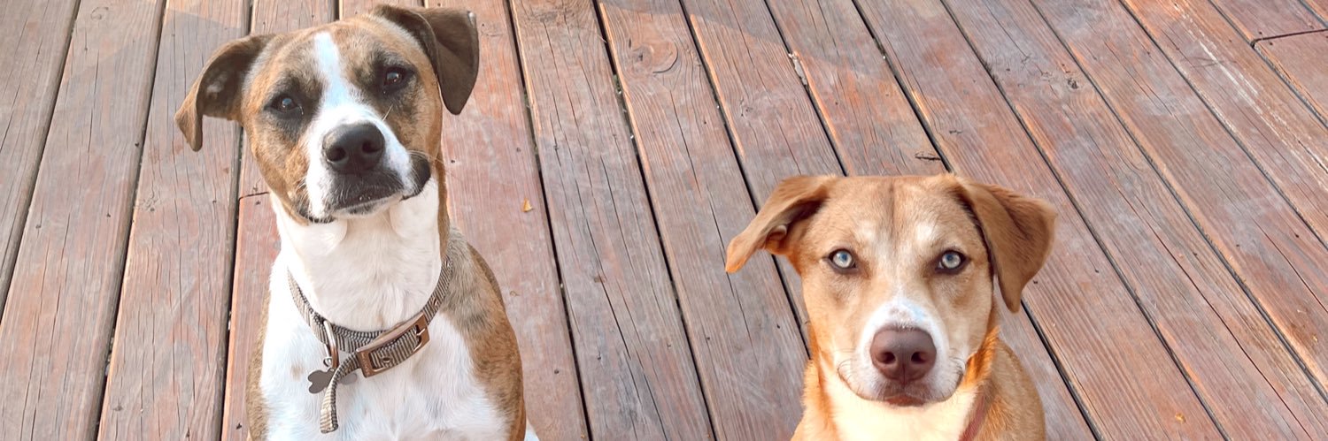rootanner_'s profile banner image