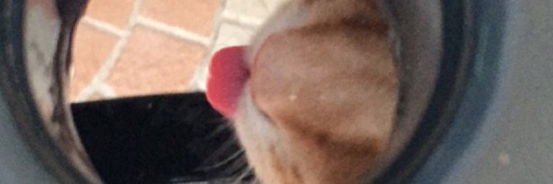 Trecie71's profile banner image
