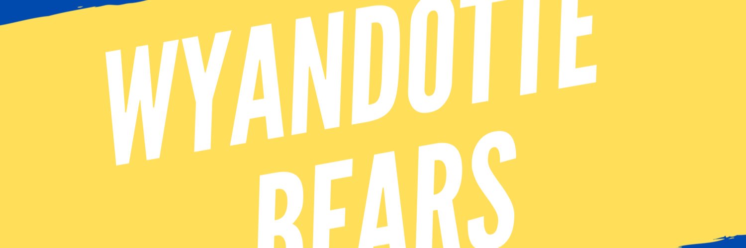 RHS Bears Volleyball banner