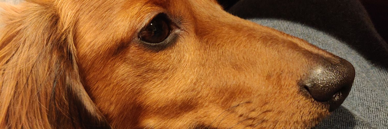 Gr3yFileCabinet's profile banner image