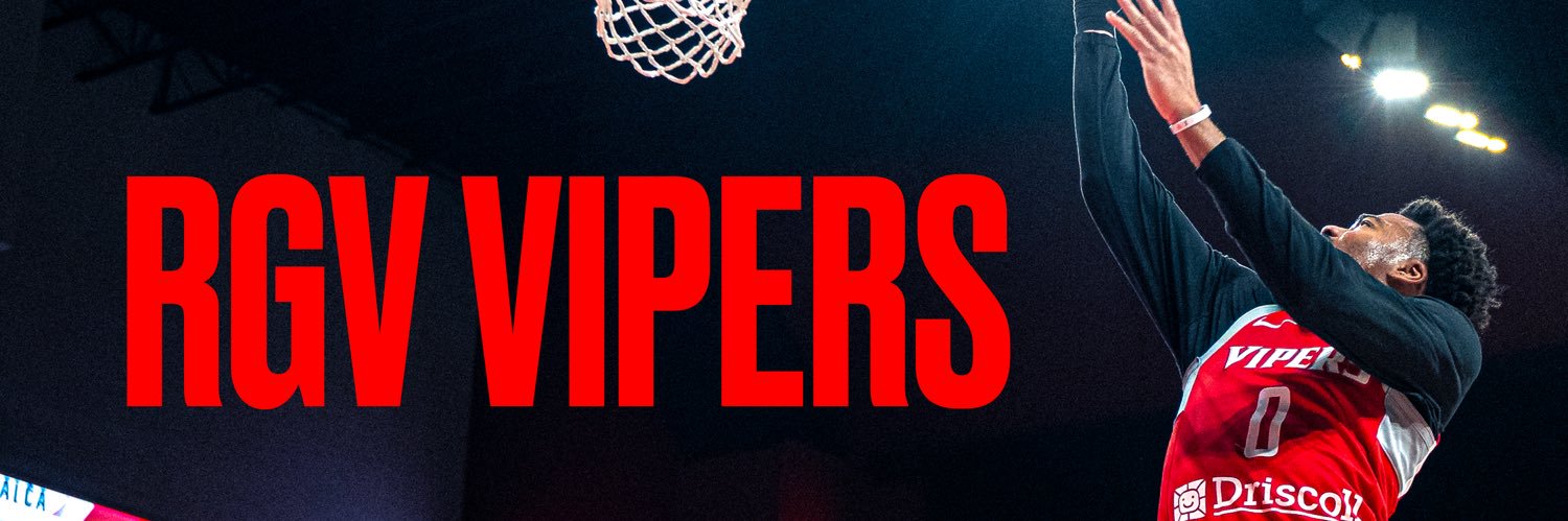 RGV Vipers's banner