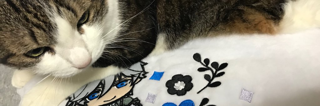 Urumetch's profile banner image