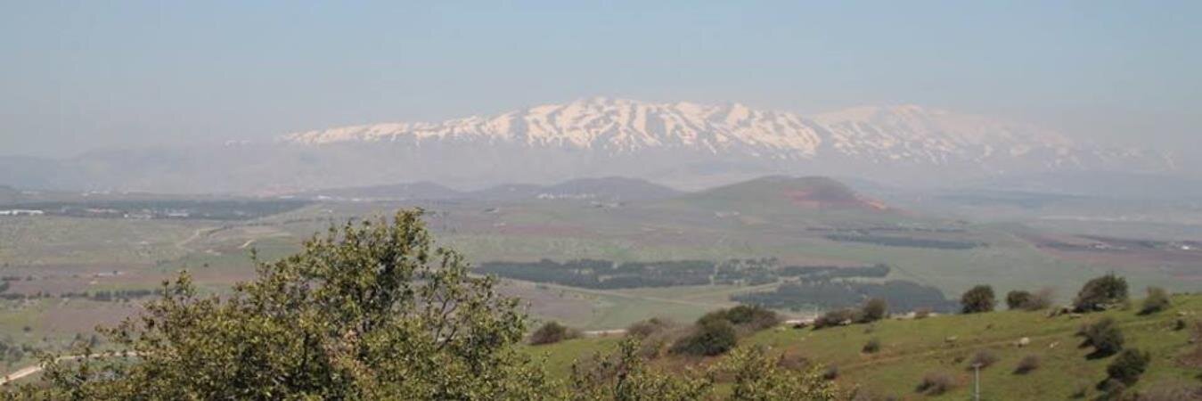 Koert van Bekkum banner