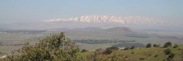 koertvb Profile Banner