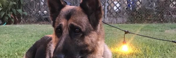 Greg_Pad's profile banner image