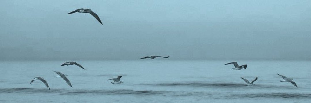 outrobrn's profile banner image
