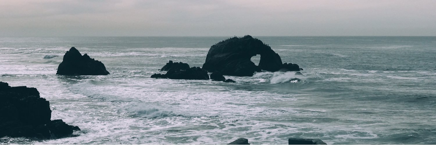 nickpham's profile banner image