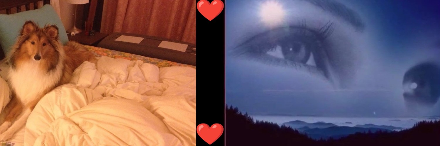 Dimitris 🌹❤️🦮🌹 banner