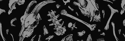 AllHandsOnDicks's profile banner image
