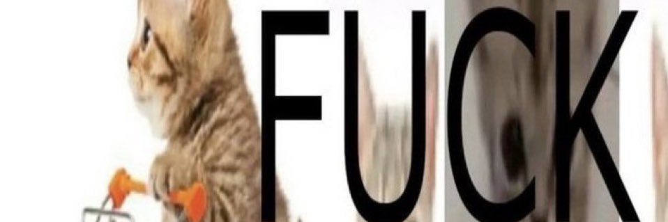 enzo banner