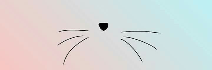 nayesoldier's profile banner image