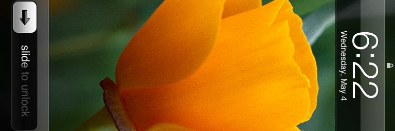 Kathleen Starr banner