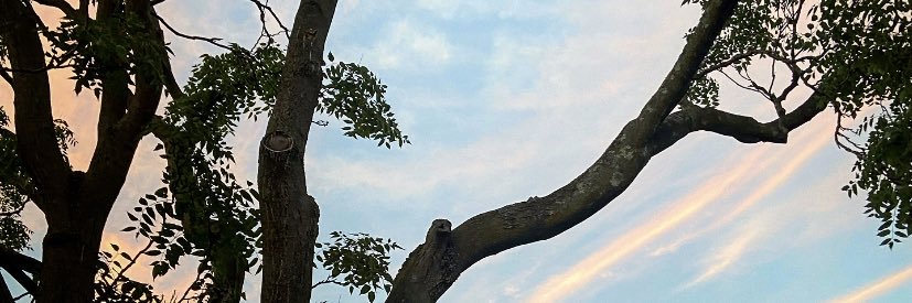 persinperson's profile banner image