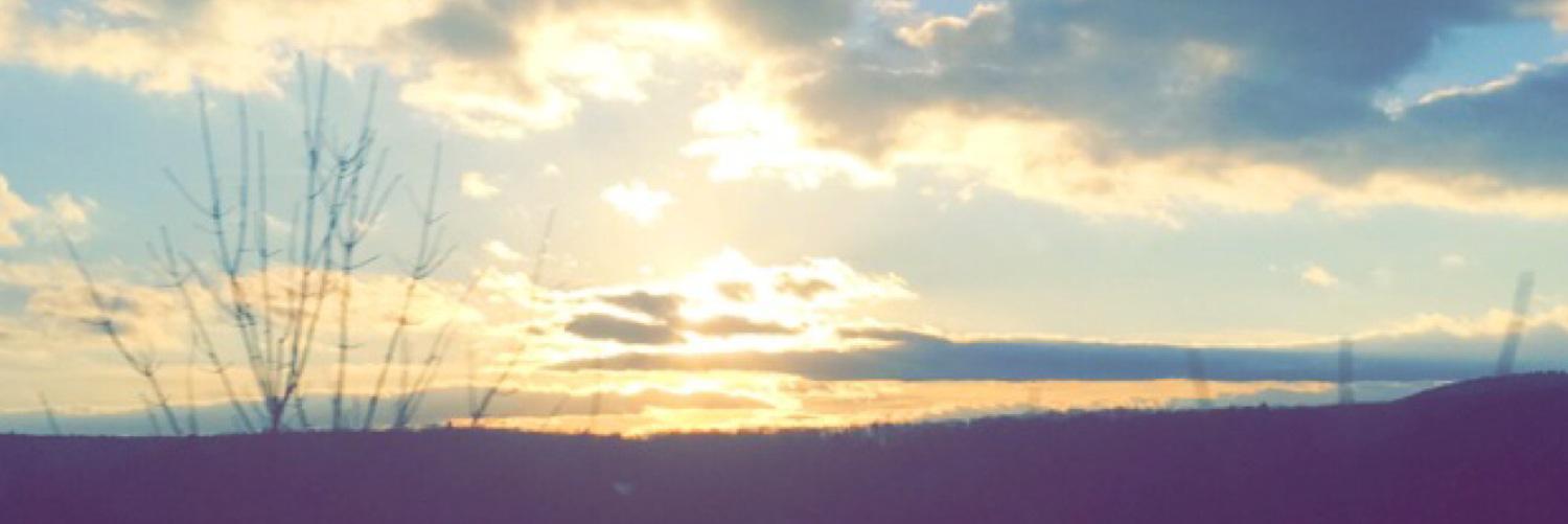 AlishaaaDL's profile banner image