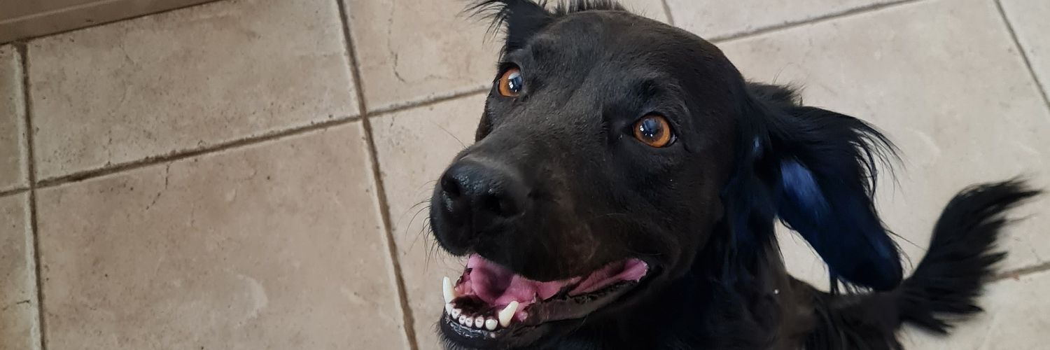 Romiii2907's profile banner image