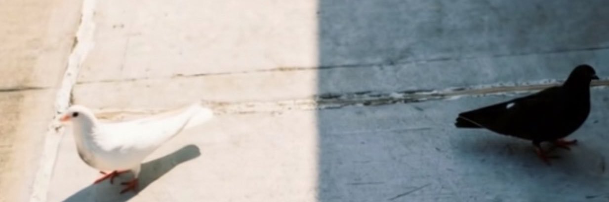 Amlx_18's profile banner image