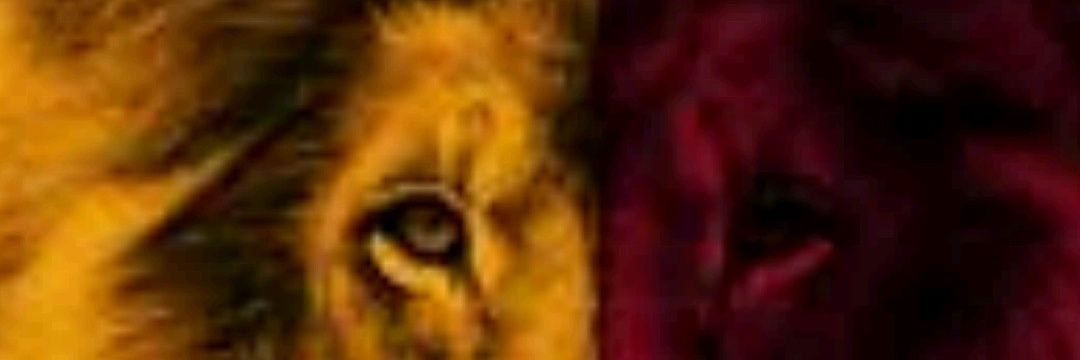ferdiogut's profile banner image