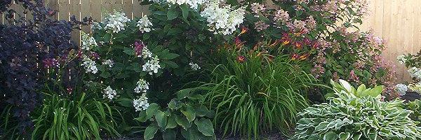chgardens1's profile banner image