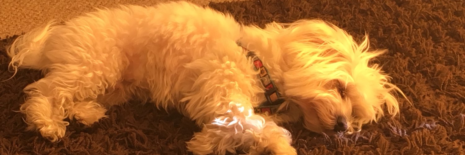 danielaahumada_'s profile banner image