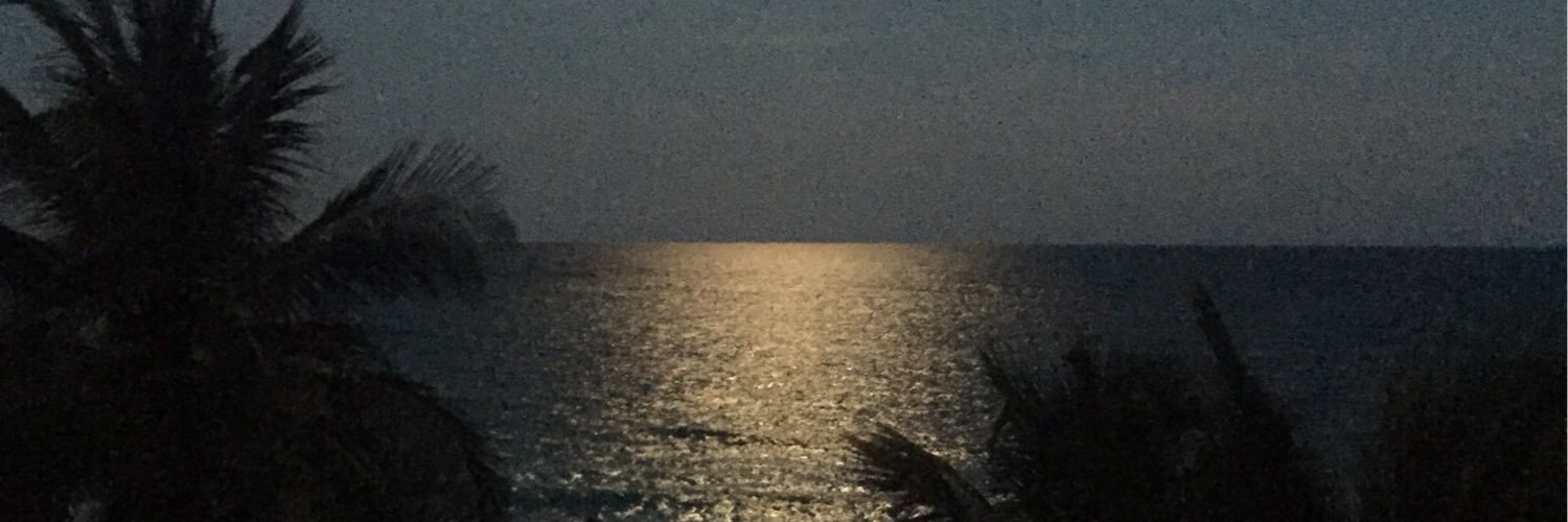 replicaalex's profile banner image