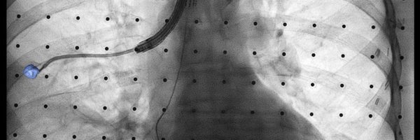 criticalMD Profile Banner