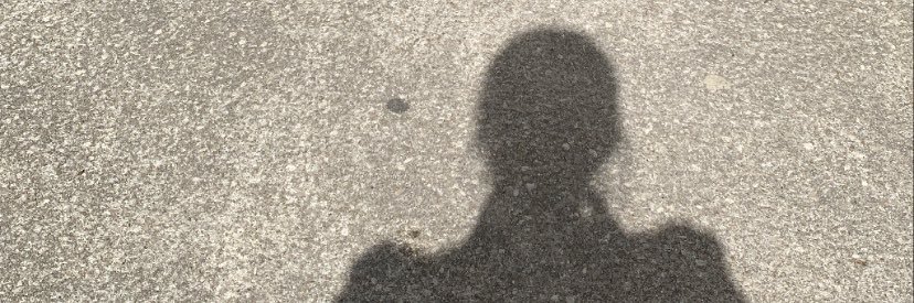 NynneSille's profile banner image