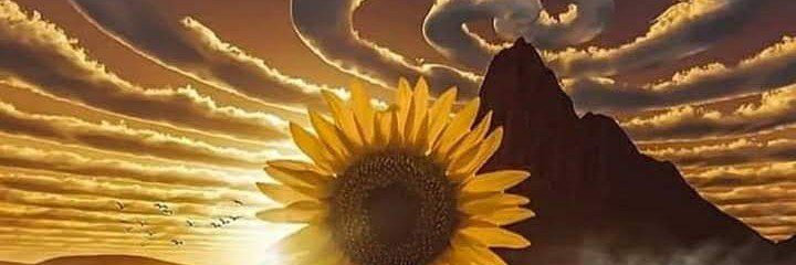irlajuliana's profile banner image