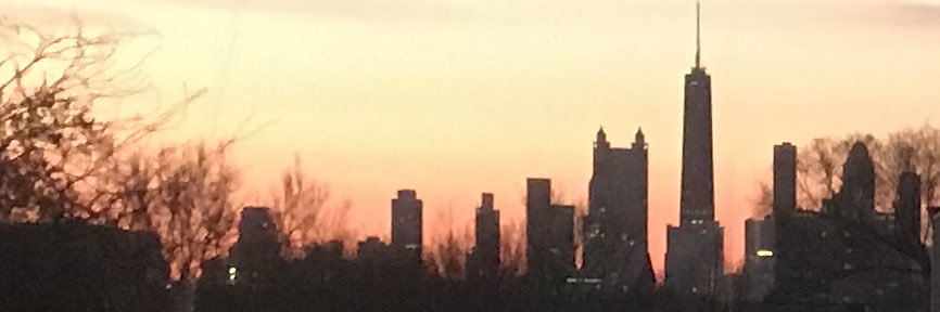 Christiana Shoushtari Corvin, MD MPH banner