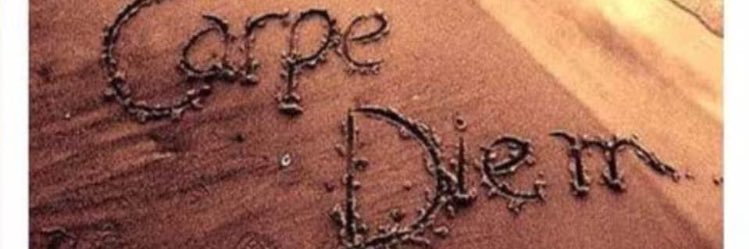 ile_cone's profile banner image