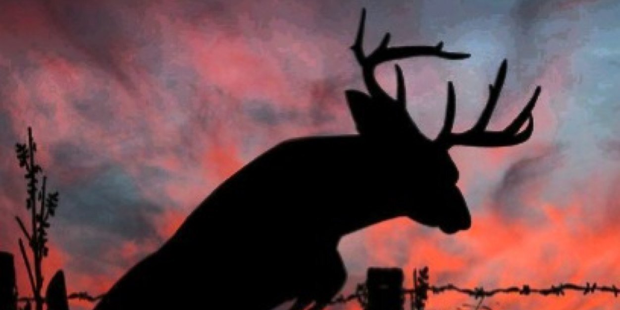 FnFur's profile banner image
