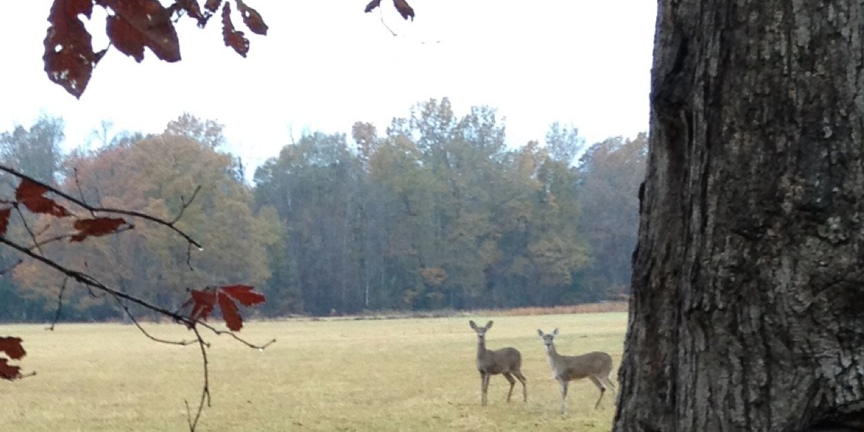 ARbowhunt5's profile banner image