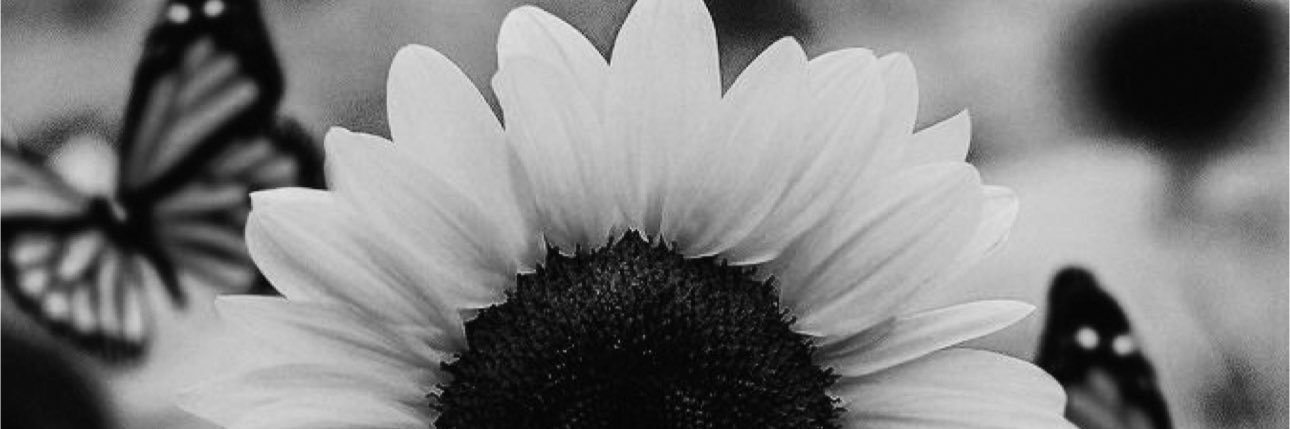toreee_ann's profile banner image