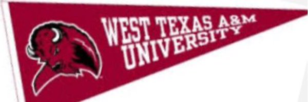 LucasKinseyWT Profile Banner