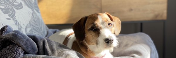 TVPattiBrant Profile Banner