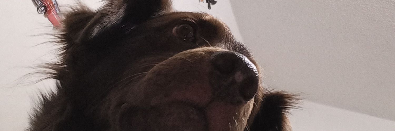 Super_Sonriente's profile banner image