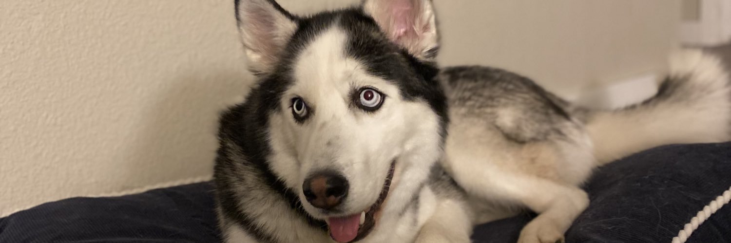 My_Oh_Maya14's profile banner image