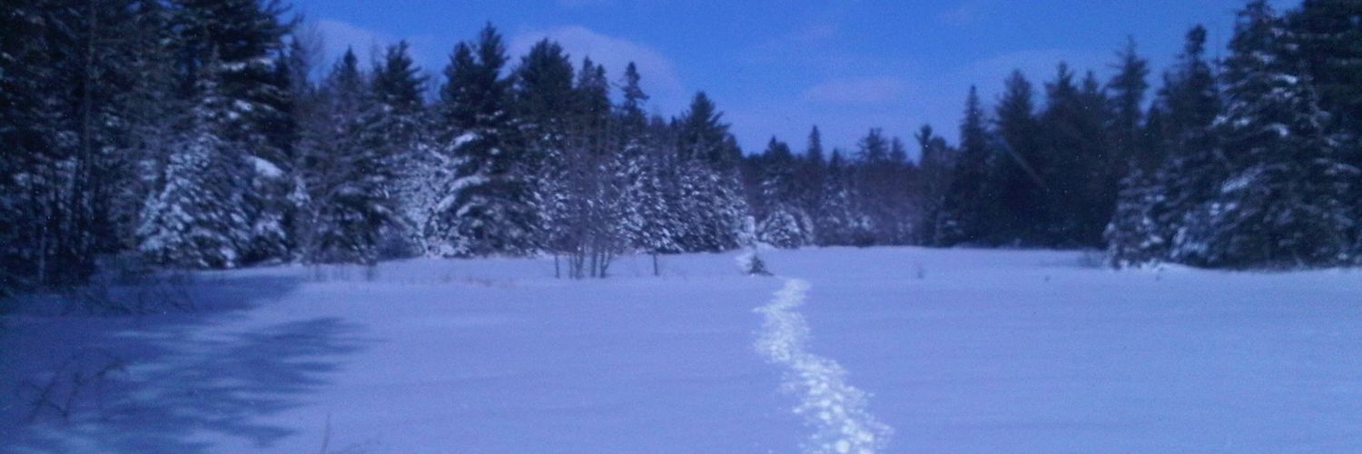 Gerald Donaldson - F1 Writer banner