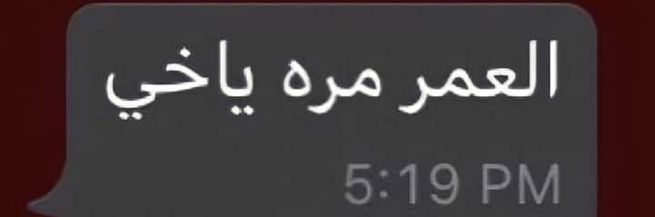 سلوى 🇰🇼🌼 banner