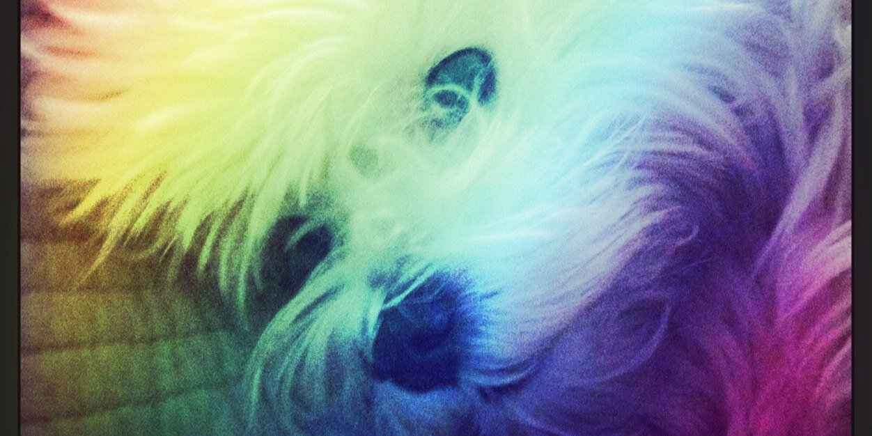 m_lelis's profile banner image