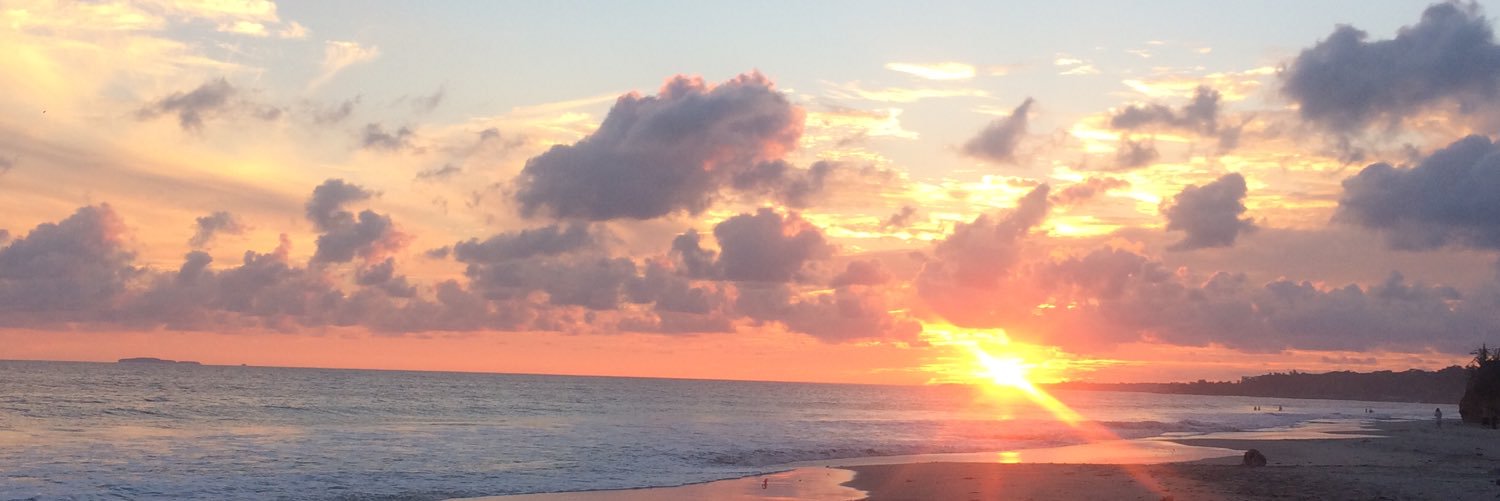 ROCIO_REYES_'s profile banner image