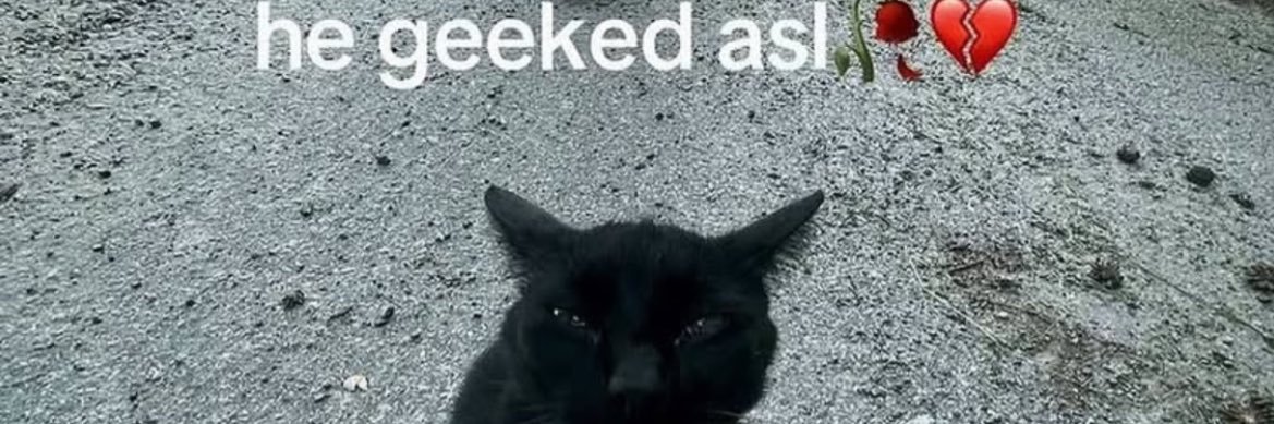 chicken wing enjoyer banner