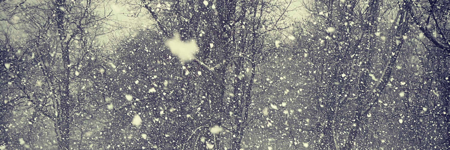 OddFutureBabexX's profile banner image