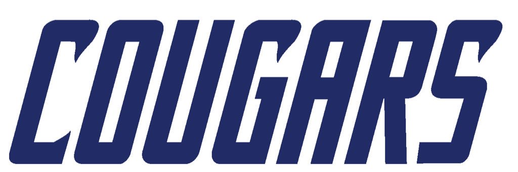 truechamp33's profile banner image