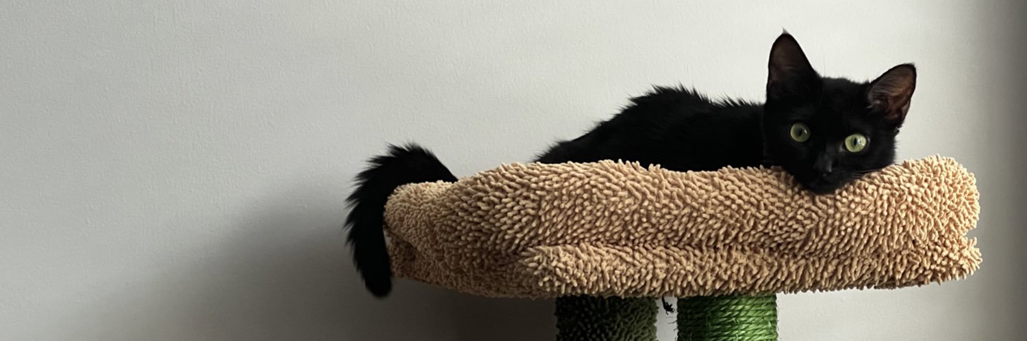 madelbug99's profile banner image