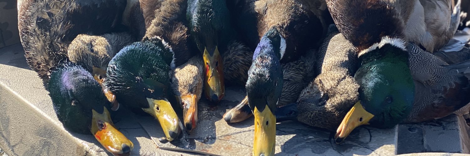 RiverRat_00's profile banner image