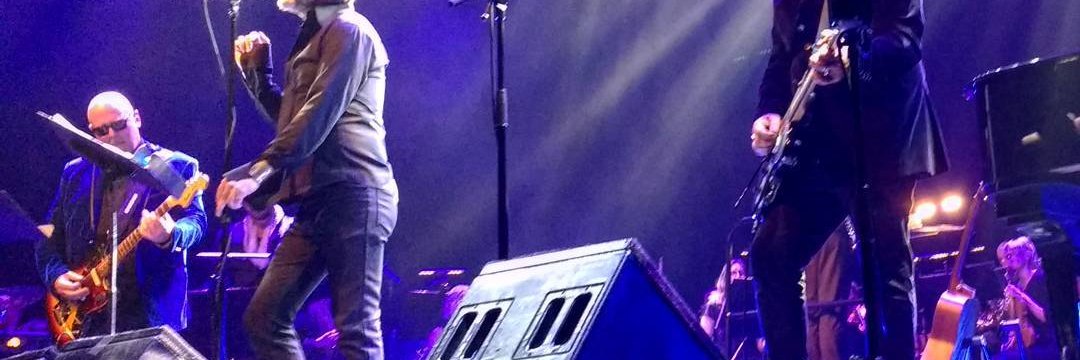 NFT Music Now! banner